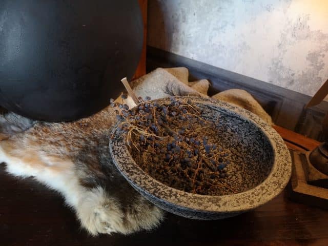 Img 20220318 163744 Resized 20220318 102101156