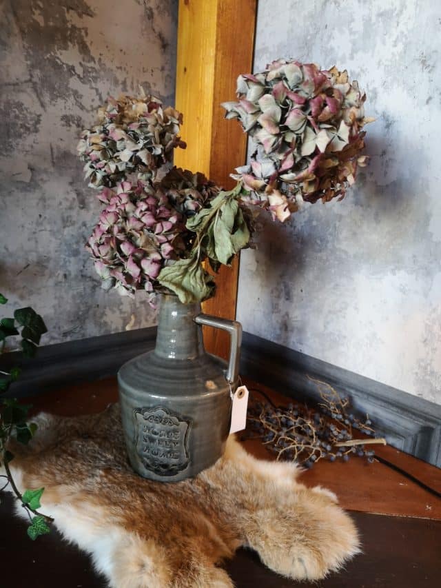 Img 20220322 165047 Resized 20220322 072922875