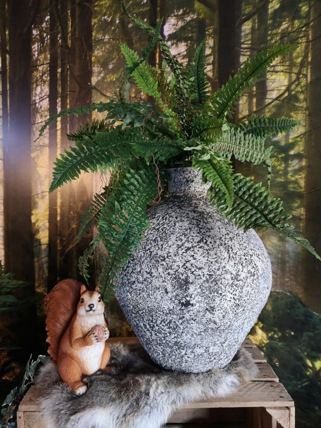 Img 20220322 170412 Resized 20220322 072606965