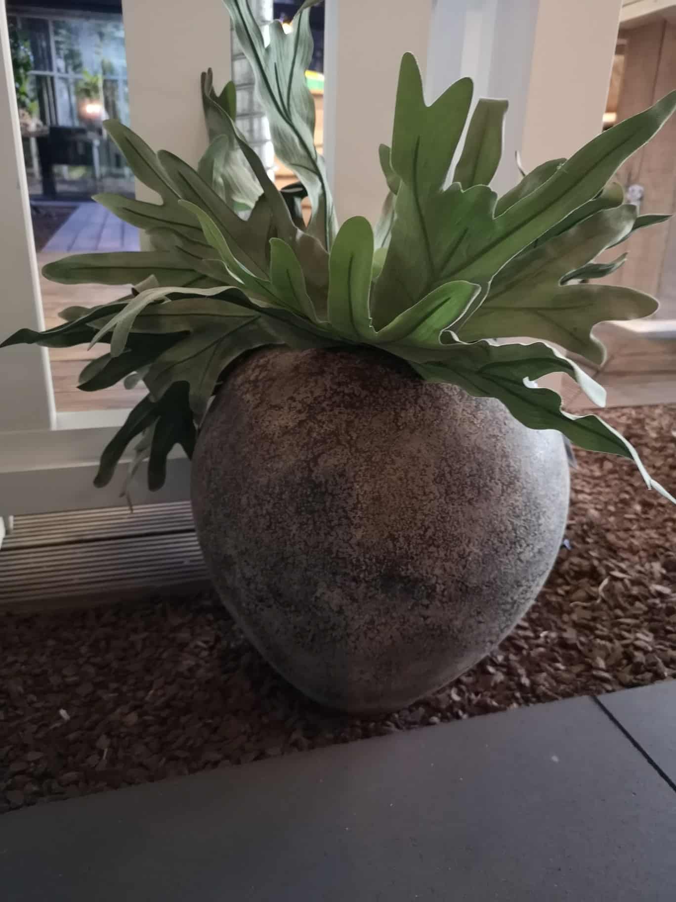 Img 20220322 170943 Resized 20220322 072330729