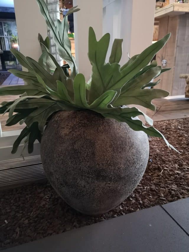 Img 20220322 170951 Resized 20220322 072315650