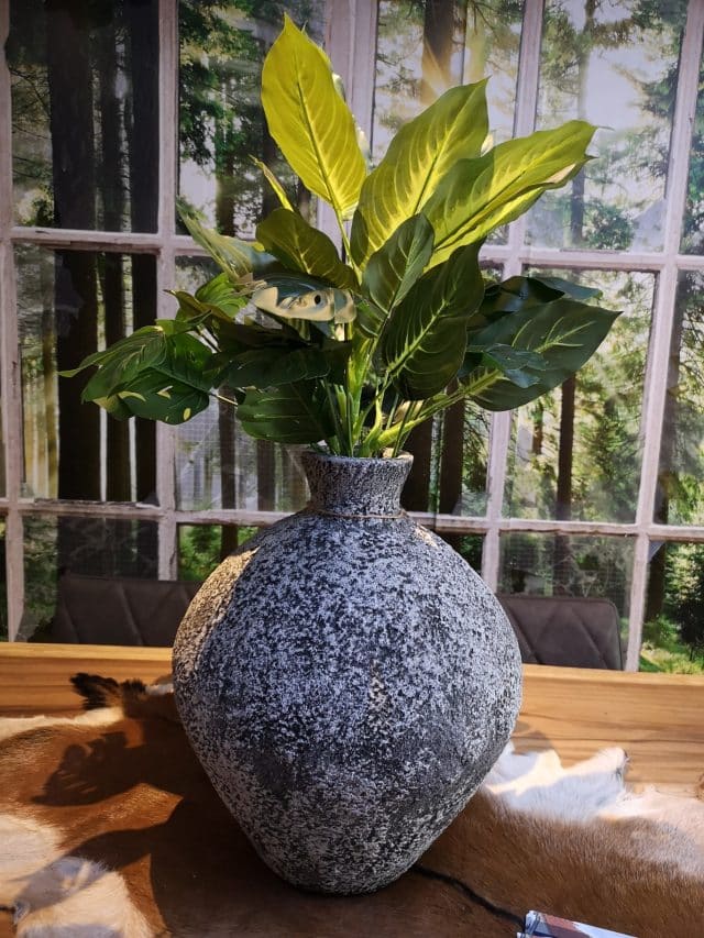 Img 20220330 125423 Resized 20220331 123020789