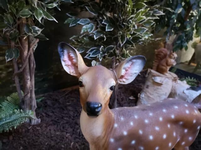 Img 20220330 125742 Resized 20220331 122814488