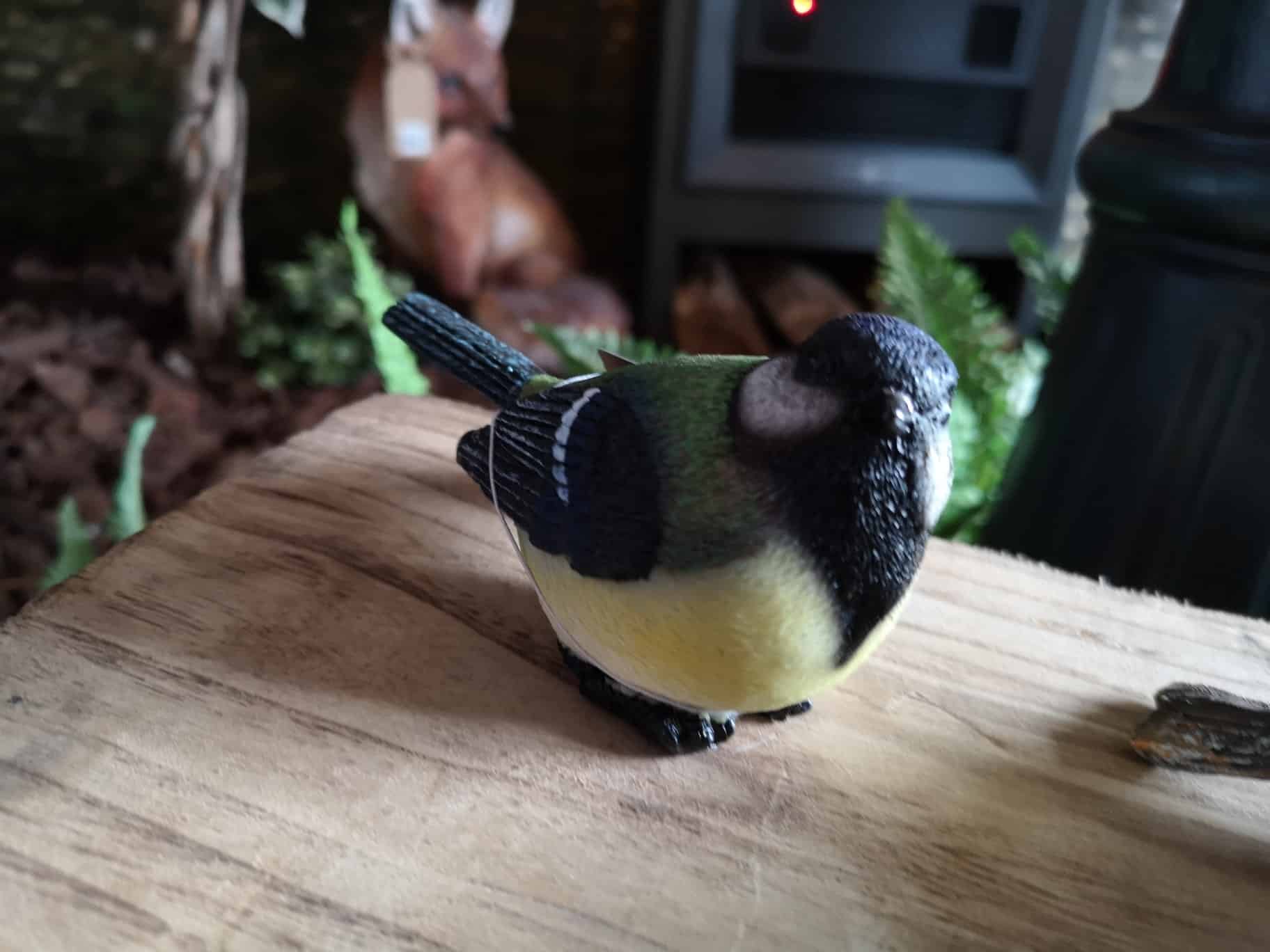 Img 20220330 130022 Resized 20220331 122648092