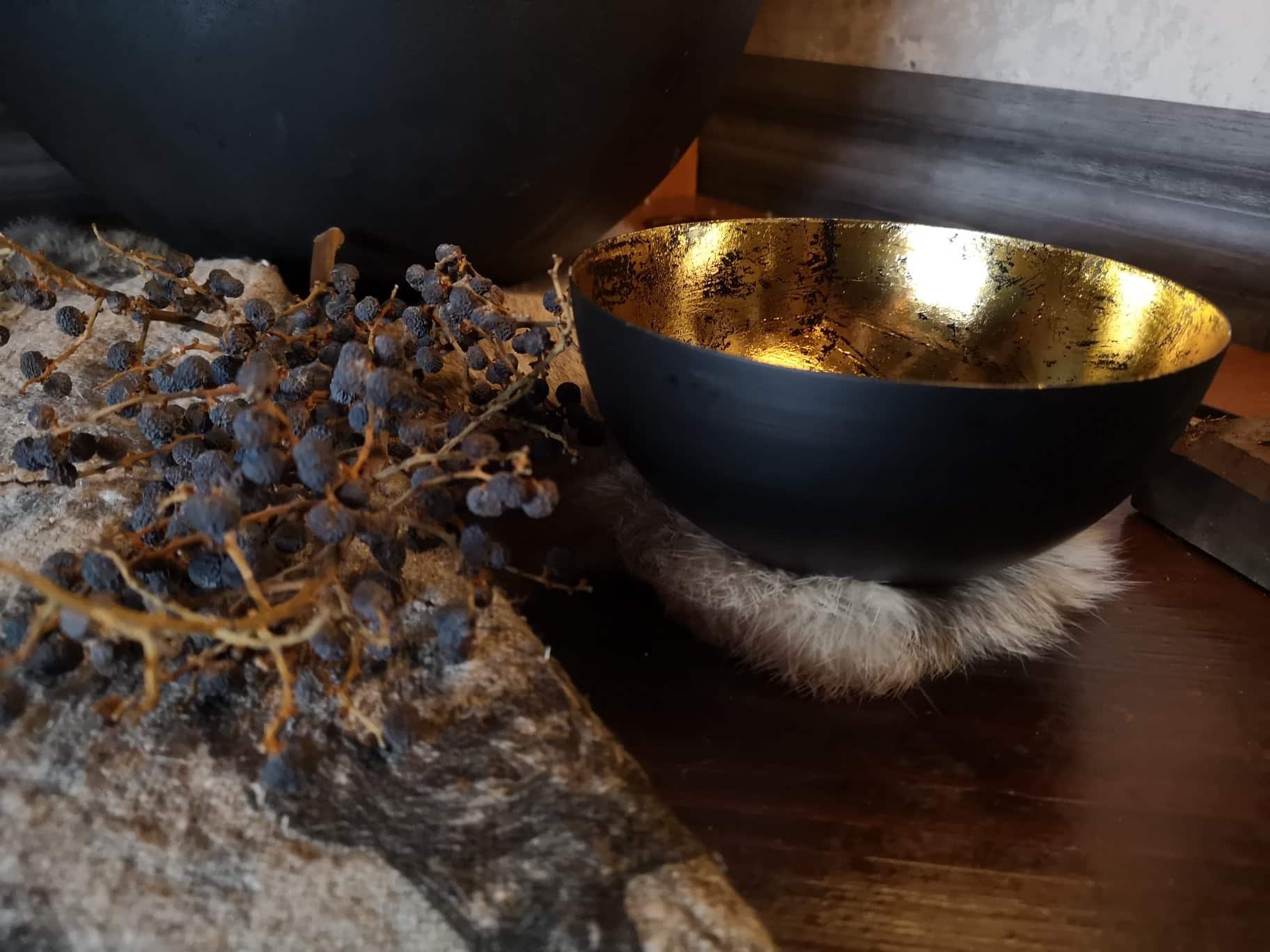 Img 20220408 131937 Resized 20220412 123501396