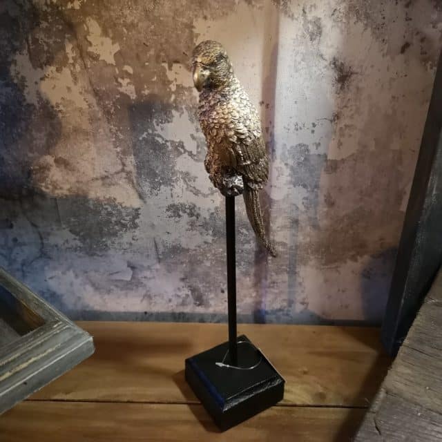 Parkiet Op Standaard Klein Goud