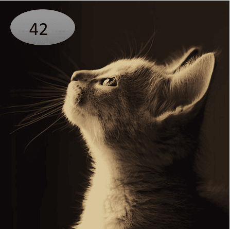 Viltje42