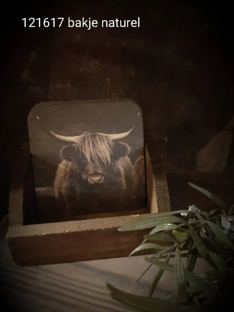Bakje Voor Viltjes Bruin