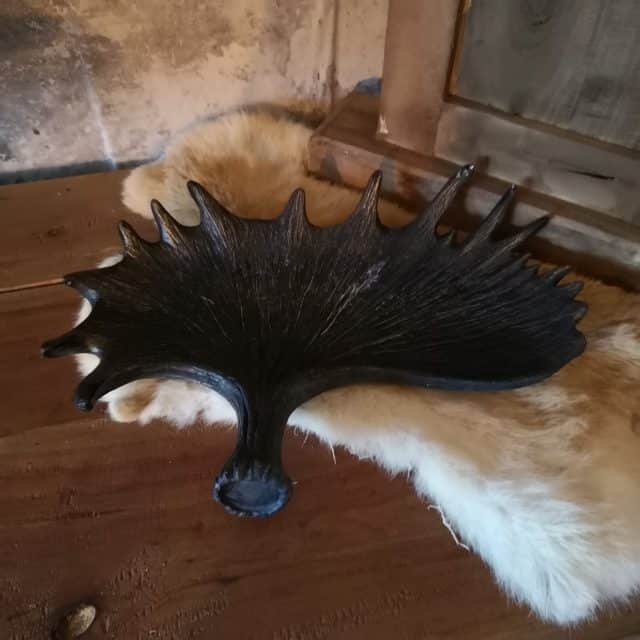 Gewei Schaal Antiek Klein Art 23 9925