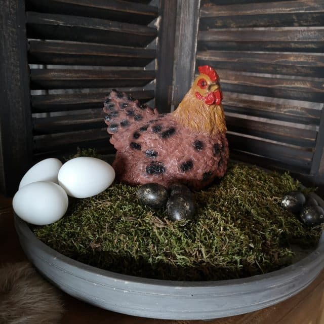 Kippetje Broedend Bruin