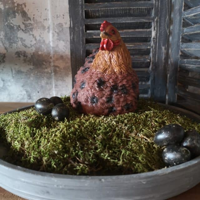 Kippetje Broedend Bruin