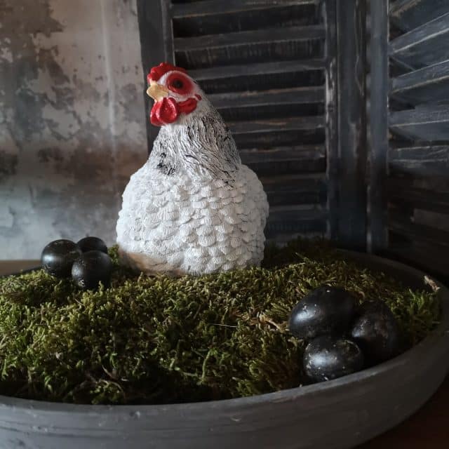 Kippetje Broedend Wit