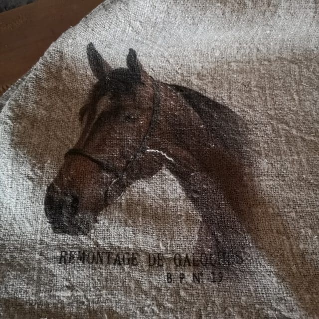 Shabby Doek Paard Kleur 30 X 45 Cm