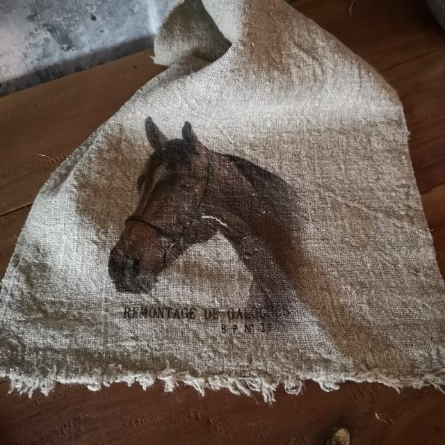 Shabby Doek Paard Kleur 30 X 45 Cm