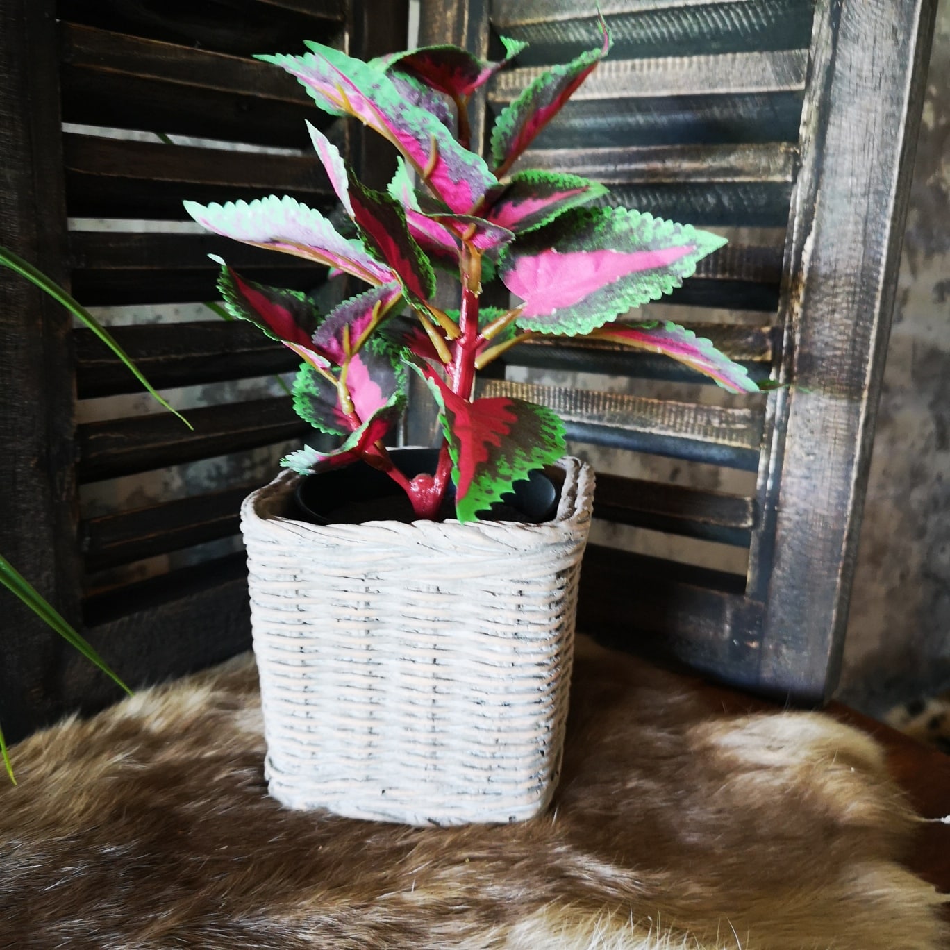Decoratief object Sall in zwart